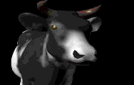 3D cow - Click image to download.