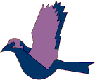 Bird - Click image to download.